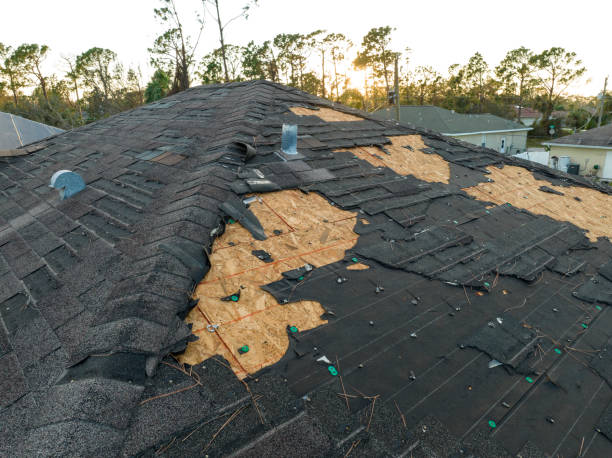 Best Roof Ventilation Installation  in Bishop, CA