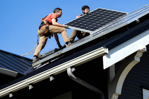 Best Roof Moss and Algae Removal  in Bishop, CA