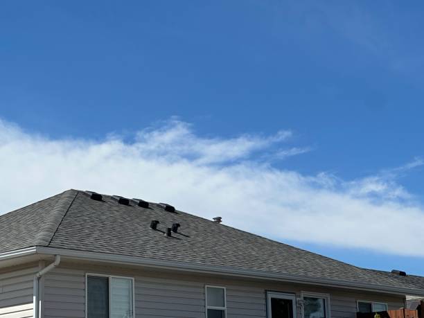 Best Sheet Metal Roofing  in Bishop, CA